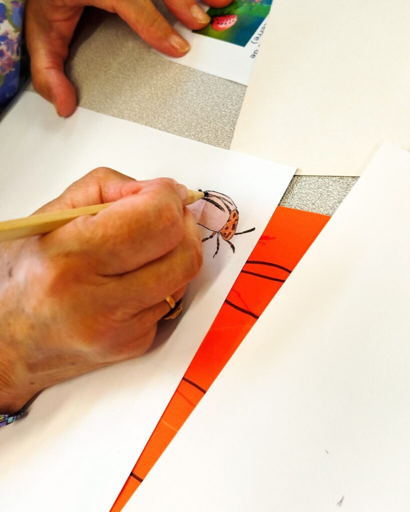 Grand-mère dessinant un magnifique insecte rouge et noir.